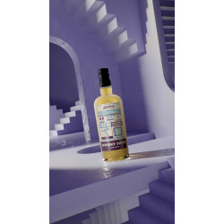 Whisky Sour Cocktail 23% RDT Zanin 1895