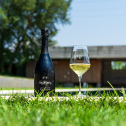 Metodo Classico Brut Nature DOC kologisk