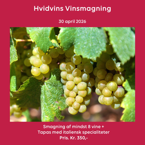 Hvidvins vinsmagning 30 april 2026