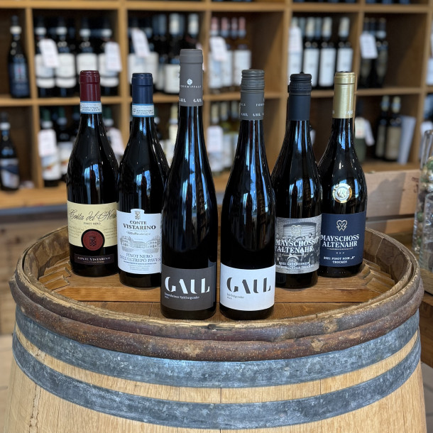 Pinot Noir Kasse Rdvine