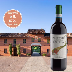 6 fl. Barbera Piemonte DOC Juni's vin