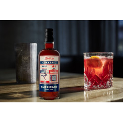 Americano Cocktail 18% RDT Zanin 1895