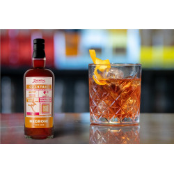 Negroni Cocktail 23% RDT Zanin 1895