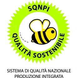 Amarone della Valpolicella DOCG