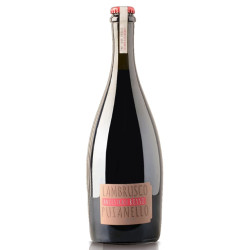 "Ancestrale" Lambrusco Rosso Secco IGT - kologisk
