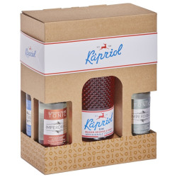 Gaveske med Kapriol BLOOD ORANGE &amp; PEACH Gin + 4 Tonic