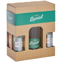 Gaveske med Kapriol Dry Gin + 4 Tonic