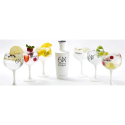 Friday Chic Gin Glas 6 styk
