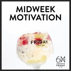 Friday Chic Gin Glas 6 styk