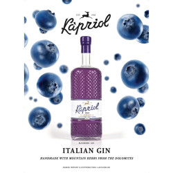 Gaveske med Kapriol Blueberry Gin 40,7% + 4 tonic