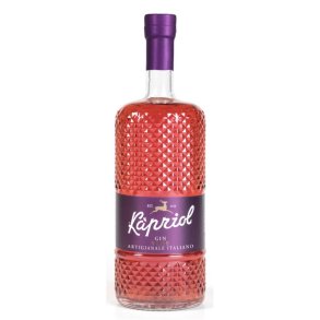Kapriol Gin Sloe Liquore 28,7%