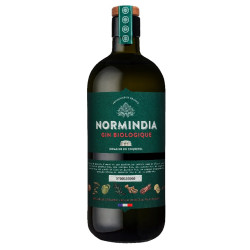 Normindia Gin Biologique 41,4% kologisk