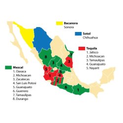 Butterfly Cannon Tequila - Rosa 5 cl mini